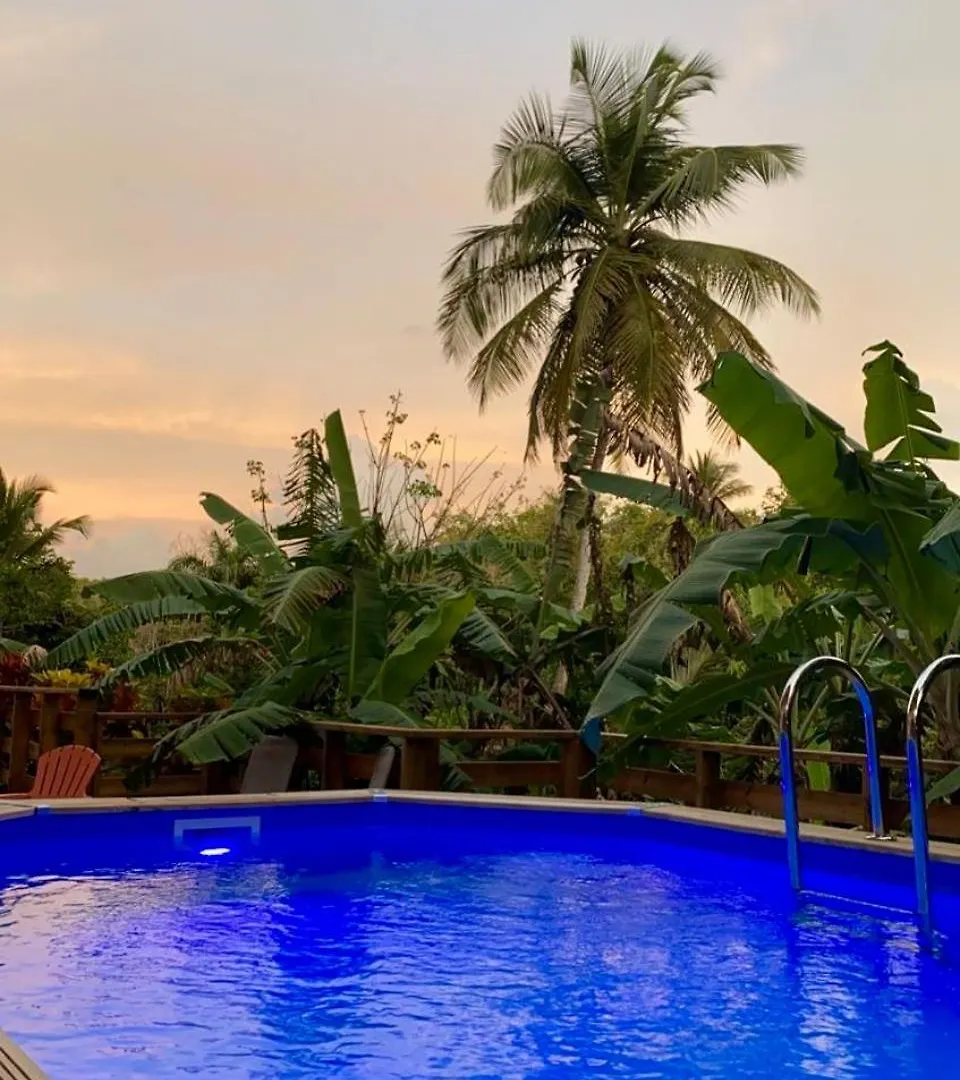 Ti Family Nature Gite Location Vacances Guadeloupe Sainte-Anne  Sainte-Anne (Grande-Terre)
